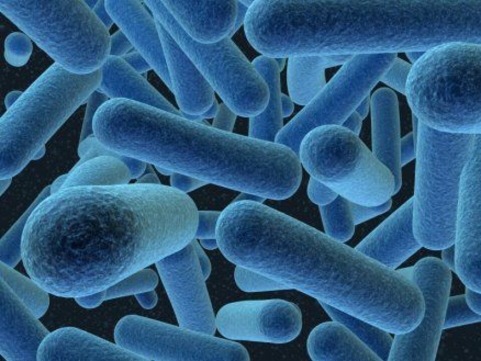 'Noen bakterier har en egen evne til å katalysere isdannelse.'