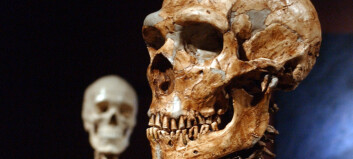 Hvor lenge levde neandertalere og moderne mennesker sammen i Europa?