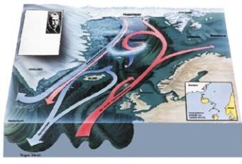 "Svalbard (øverst t. h. på ill.) ligger som en navle midt i alt vannet som skal ut og inn av Polhavet. Golfstrømmen bringer med seg varmt sjøvann fra Mexicogulfen. Rundt Svalbard møter det kaldt ferskere vann fra Polhavet. 95 prosent av vannet som skal ut av Polhavet, går ut i Framstredet mellom Svalbard og Grønland. " "Svalbard (øverst t. h. på ill.) ligger som en navle midt i alt vannet som skal ut og inn av Polhavet. Golfstrømmen bringer med seg varmt sjøvann fra Mexicogulfen. Rundt Svalbard møter det kaldt ferskere vann fra Polhavet. 95 prosent av vannet som skal ut av Polhavet, går ut i Framstredet mellom Svalbard og Grønland. "