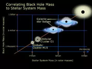 "Ved å måle hastighetene til stjernene inn mot sentrum av kulehopene, kan man finne ut om det er sorte hull der. Er hastighetene veldig store i kjernen, må det være et sort hull som drar på stjernene. (Illustrasjon: NASA/STScI)"