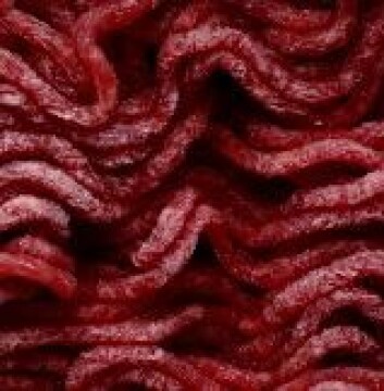 "Cellekultur dyrket i laboratoriet kan kanskje blandes inn i kjøttfarse. (Illustrasjonsfoto)" "Cellekultur dyrket i laboratoriet kan kanskje blandes inn i kjøttfarse. (Illustrasjonsfoto)"