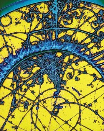"Et artistisk bearbeidet fotografi av partikler i høy fart - tatt i the Big European Bubble Chamber i Cern." "Et artistisk bearbeidet fotografi av partikler i høy fart - tatt i the Big European Bubble Chamber i Cern."