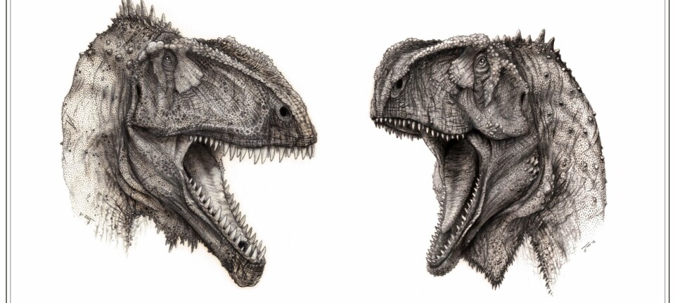 "Her ser du dinosaurene Kryptops palaios og Eocarcharia dinops. Tegning: Todd Marshall/Project Exploration."