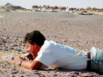 "Forsker Paul Sereno sjekker ut kjeven til Eocarcharia dinops i Sahara-ørkenen. Foto: Mike Hettwer/Project Exploration." "Forsker Paul Sereno sjekker ut kjeven til Eocarcharia dinops i Sahara-ørkenen. Foto: Mike Hettwer/Project Exploration."
