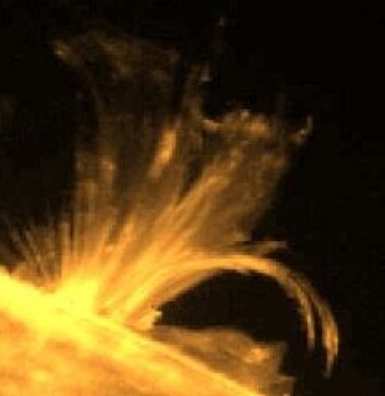 "En søyle av gass spruter ut på overflaten av sola og ut i atmosfæren. Disse fontene skyldes endringer i solas magnetfelt. Kanskje er de kilden til solvinden. (Foto: NASA) " "En søyle av gass spruter ut på overflaten av sola og ut i atmosfæren. Disse fontene skyldes endringer i solas magnetfelt. Kanskje er de kilden til solvinden. (Foto: NASA) "