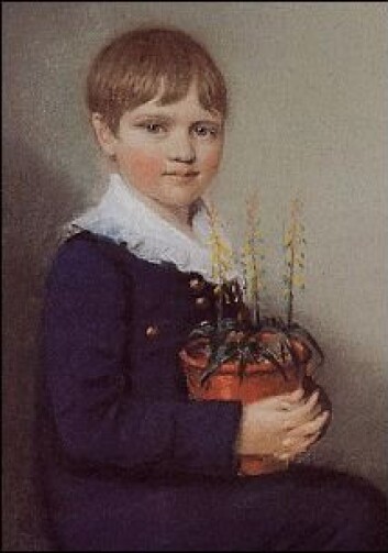 "Darwin - 7 år gammel." "Darwin - 7 år gammel."
