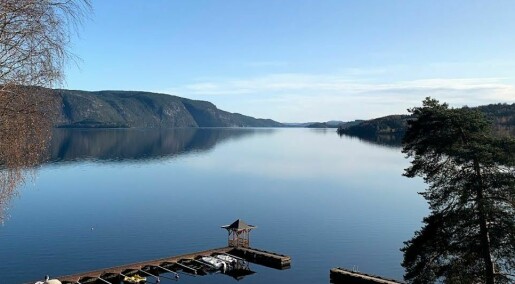 Lakseparasitt er påvist i dype innsjøer i Norge