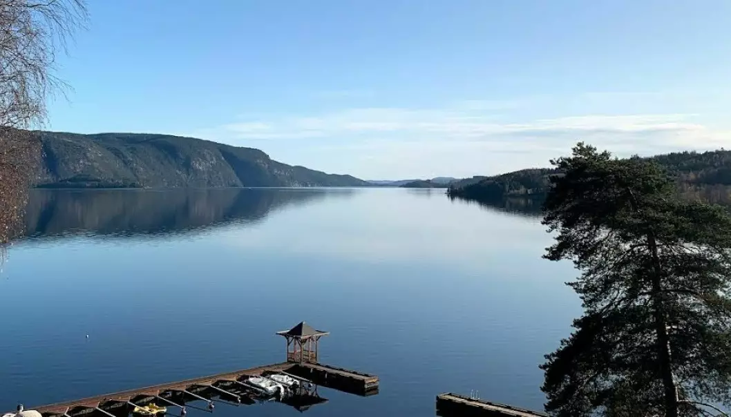 Forsker Tone Jøran Oredalen har tatt prøver av nyrene på laksefisk og samlet inn vannprøver fra fem ulike innsjøer i Telemark. Her fra Norsjø.