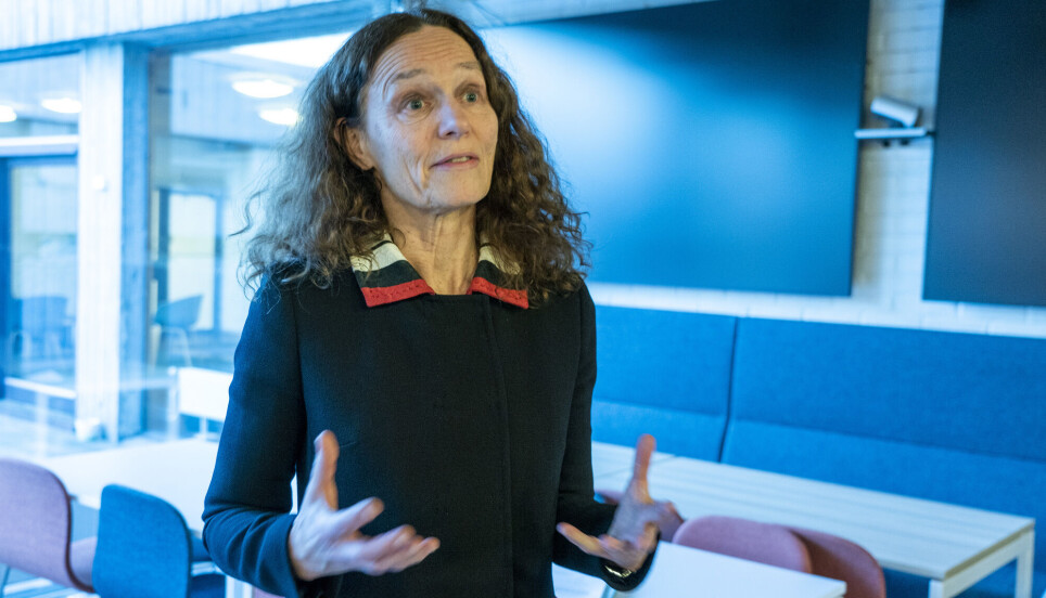 – Vi venter at virus som ikke har vært i omløp på flere år vil vende tilbake. Dette er virus som vi har lite beskyttelse mot, og det gjelder særlig små barn, sier Camilla Stoltenberg i FHI.
