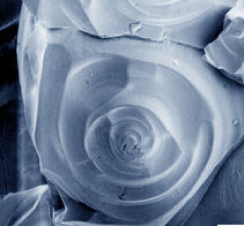 "Hagl. (Foto: Eric F. Erbe, BARC)" "Hagl. (Foto: Eric F. Erbe, BARC)"