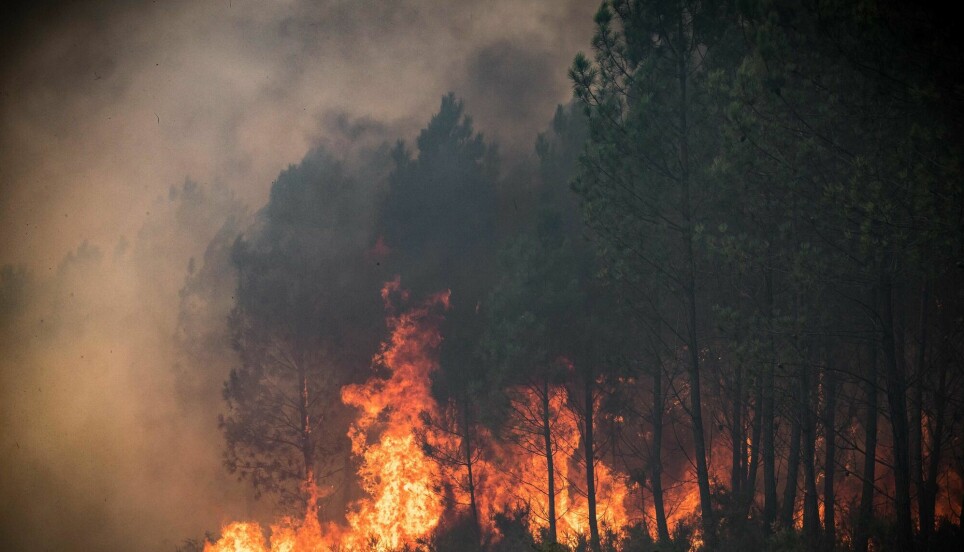 The effects of climate change can be as gradual as the slow expansion of a desert, and as drastic as a wildfire raging in the Sierra Nevada forests of California. 'How do you deal with a process on the one hand, and an event on the other?' Professor Henrik Bødker asks.
