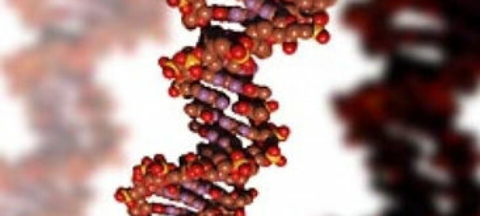 "Flere identiske kopier av arvestoffet, DNA"