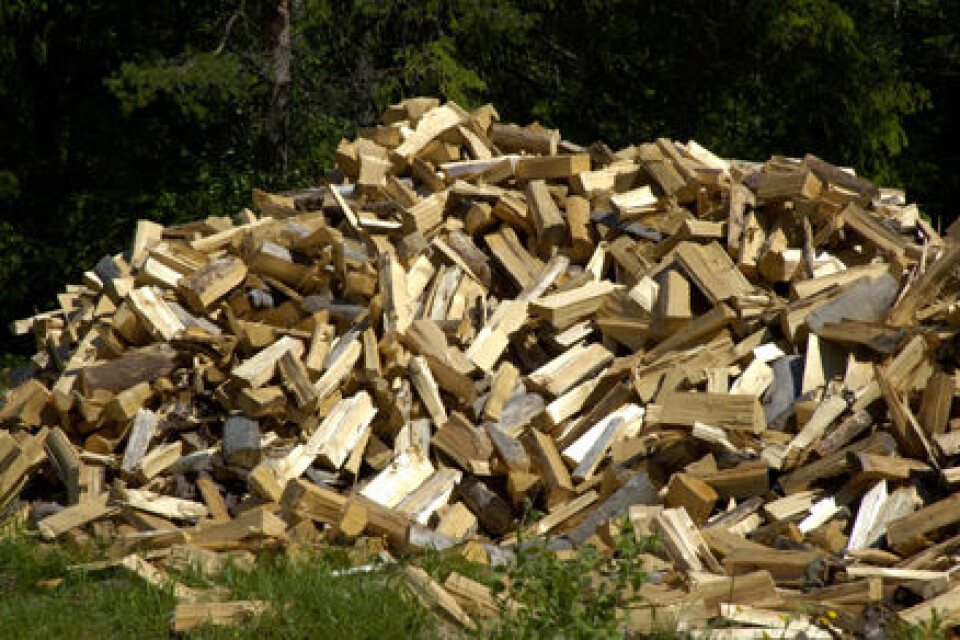 'Foto: Dan Aamlid, Skog og landskap'