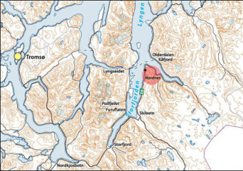 "Her er oversikten: Storfjord i sør kan få to-tre meters bølgehøyde, Skibotn mellom tre og fem meter, Olderdalen mellom fem og ti meter, mens Lyngseidet ligger verst til dersom hele Nordnesfjellet går i fjorden. Illustrasjon: Irene Lundquist/NGU" "Her er oversikten: Storfjord i sør kan få to-tre meters bølgehøyde, Skibotn mellom tre og fem meter, Olderdalen mellom fem og ti meter, mens Lyngseidet ligger verst til dersom hele Nordnesfjellet går i fjorden. Illustrasjon: Irene Lundquist/NGU"