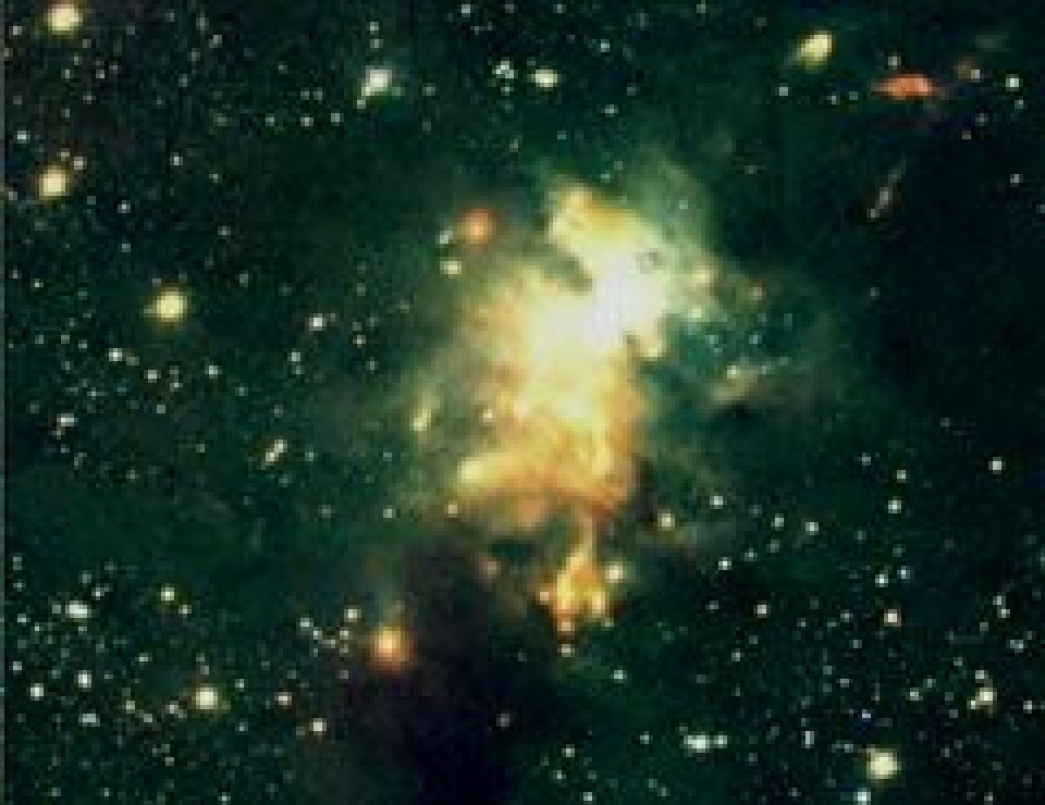 'STJERNER FØDES: Stjernedannelsesområdet Serpens ligger ca 1000 lysår fra jorden, og inneholder om lag dobbelt så mange nye stjerner som tidligere antatt. Bildet er tatt med et infrarødt instrument, og bare en håndfull av stjernene er synlige optisk. (Foto: Anlaug Amanda Kaas/NOT)'