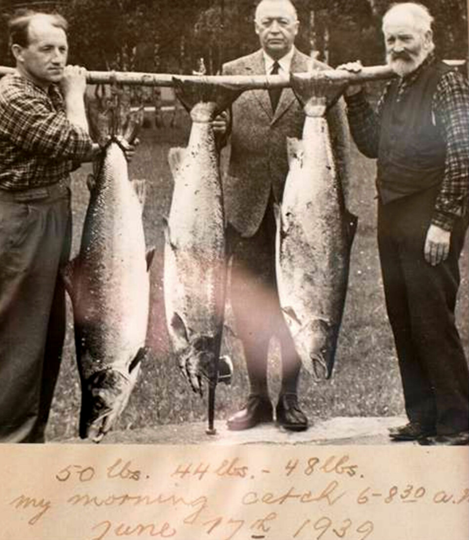 Morning catch, 17th of June 1939: This tweed-clad gentleman landed three monsters during the morning hours of a summer’s day in 1939, each weighing over 20 kilograms.