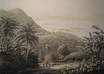 Utsikt på St. John, ca 1850. Sukker, dyrket av slaver, var den viktigste varen som ble produsert på øya da den var del av det dansk-norske riket.