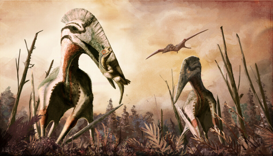 Hatzegopteryx er blant de største flygeøglene som er funnet.