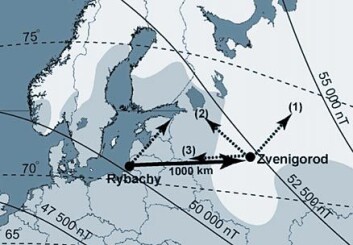 "Fuglene ble fanget ved Rybachy sør i Østersjøen. Stiplet linje viser den egentlige ruten videre mot hekkeplassen. Fuglene ble fraktet i fly til Zvenigorod, 1000 kilometer lenger øst. I stedet for å fortsette den samme nordøstlige retning de opprinnelig fløy (1), korrigerte fuglene kursen mot hekkeplassen i nordvest (2)." "Fuglene ble fanget ved Rybachy sør i Østersjøen. Stiplet linje viser den egentlige ruten videre mot hekkeplassen. Fuglene ble fraktet i fly til Zvenigorod, 1000 kilometer lenger øst. I stedet for å fortsette den samme nordøstlige retning de opprinnelig fløy (1), korrigerte fuglene kursen mot hekkeplassen i nordvest (2)."
