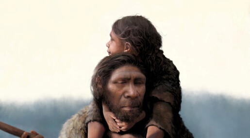Forskningspodden:Neandertaler-gener, rev som husdyr og den russiske mentaliteten