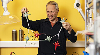 Hvordan samarbeider nervecellene?