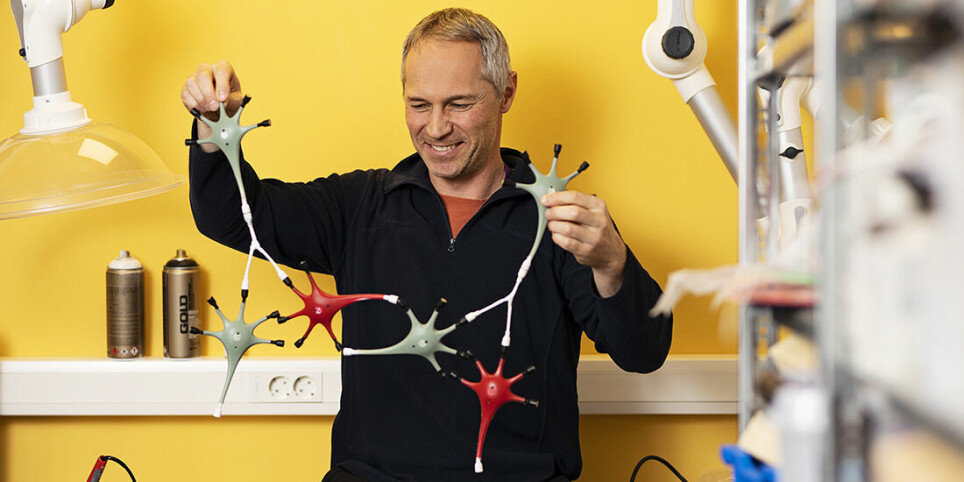 The brain building kit pictured is intended for use from primary school to university level. How can building kits like these make teaching about our nervous system more understandable? Pål Kvello is on the case.