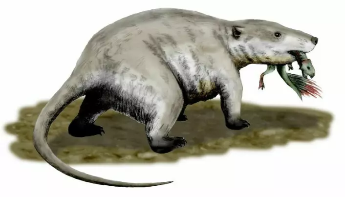<span class=" italic" data-lab-italic_desktop="italic">Repenomamus</span> var et pattedyr fra kritt-tiden som var på størrelse med en grevling. Den spiste kjøtt og er funnet med en liten dinosaur i magen.