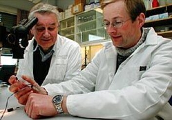"VIKTIG PATENT: Electrofect-gründerne Terje Lømo (t.v.) og Iacob Mathiesen snappet et viktig patent foran det internasjonale farmasikonsernet Aventis. (Foto: Bjarne Røsjø)" "VIKTIG PATENT: Electrofect-gründerne Terje Lømo (t.v.) og Iacob Mathiesen snappet et viktig patent foran det internasjonale farmasikonsernet Aventis. (Foto: Bjarne Røsjø)"