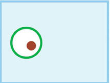 "Kva er kloning? Først: eit befrukta egg. " "Kva er kloning? Først: eit befrukta egg. "