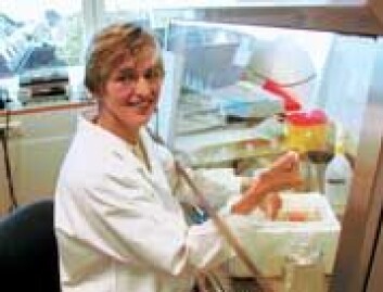 "- Her har jeg de aller beste arbeidsvilkår, mener professor Tone Tønjum, eneste kvinnelige gruppeleder ved Centre for Molecular Biology and Neuroscience. (Foto: Siw Ellen Jakobsen)" "- Her har jeg de aller beste arbeidsvilkår, mener professor Tone Tønjum, eneste kvinnelige gruppeleder ved Centre for Molecular Biology and Neuroscience. (Foto: Siw Ellen Jakobsen)"