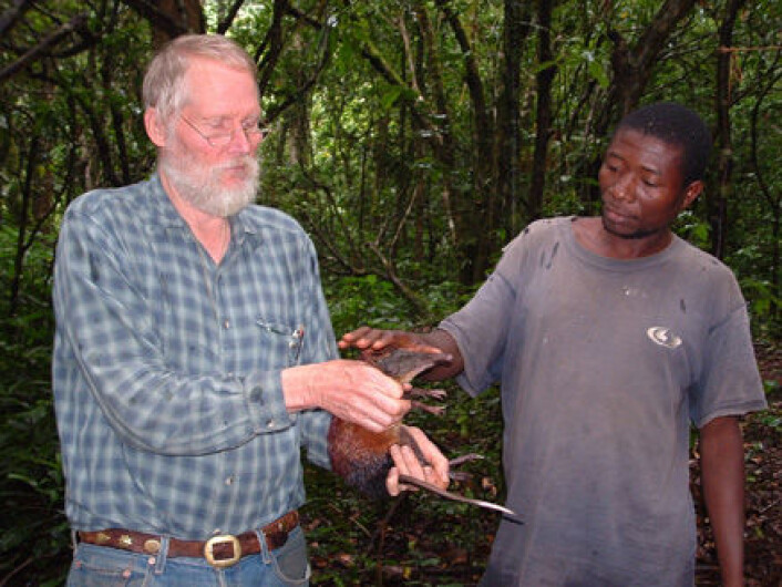 "Galen Rathbun og Ruben Mwakisoma fra Tanzania Forest Conservation Group med den nyoppdagede kjempeelefantspissmusa Rhynchocyon udzungwensis." "Galen Rathbun og Ruben Mwakisoma fra Tanzania Forest Conservation Group med den nyoppdagede kjempeelefantspissmusa Rhynchocyon udzungwensis."