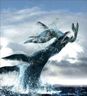 "Pliosaurus, som levde i havet i kritt-tiden. (Ill: Tor Sponga/BT)" "Pliosaurus, som levde i havet i kritt-tiden. (Ill: Tor Sponga/BT)"