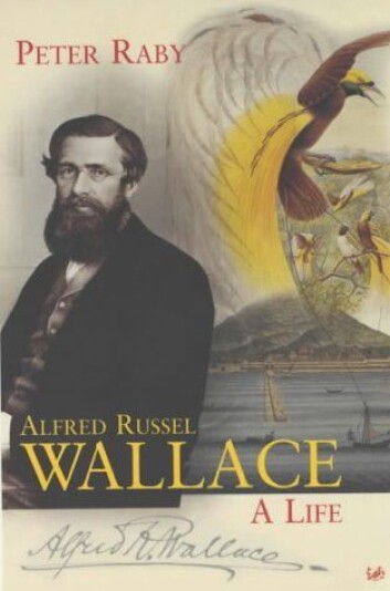 "Peter Rabys Wallace-biografi kom som paper back i mars" "Peter Rabys Wallace-biografi kom som paper back i mars"