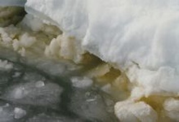 "Infiltrasjonslag." "Infiltrasjonslag."