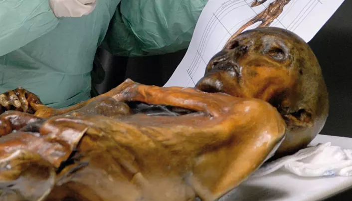 Norsk forskning setter den 5.300 år gamle ismannen Ötzi fra Alpene i nytt lys