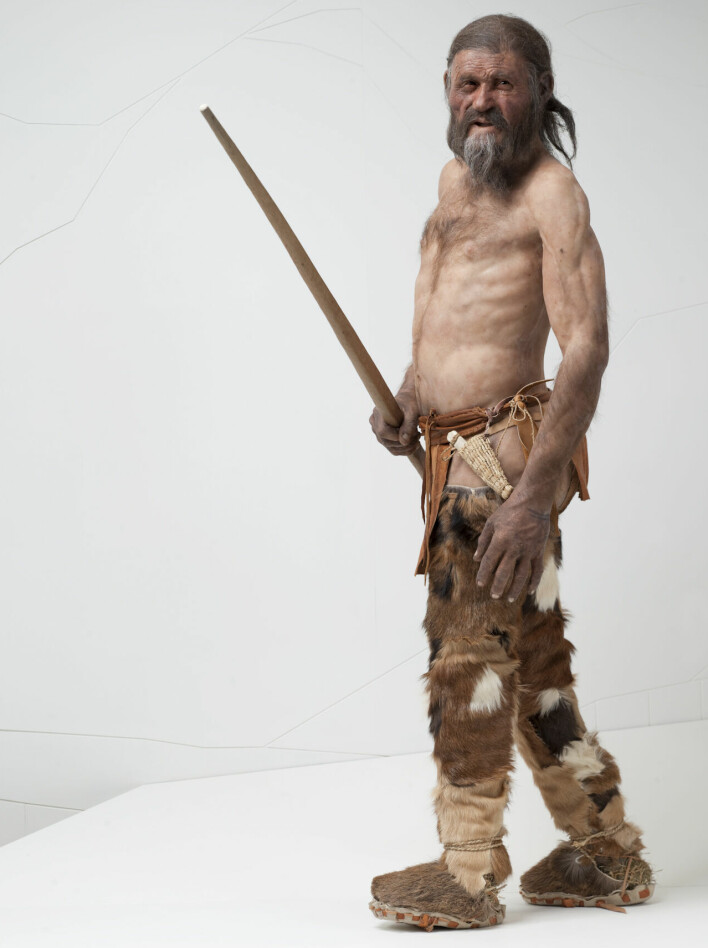 Denne rekonstruksjonen av Ötzi ble laget til South Tyrol Museum of Archaeology i Italia i 2011. Ötzi var rundt 45 år gammel da han døde. Han veide 50 kg og var rundt 160 cm høy.