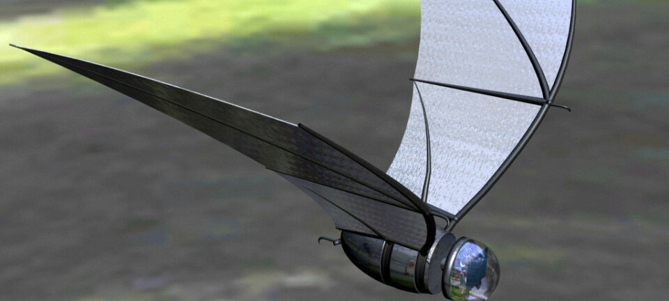 "Slik ser forskerne for seg at dronen kan se ut når den er på vingene. The bat skal bare bli rundt 15 centimeter lang, og veie drøyt 100 gram. Den skal utvikles spesielt for overvåking og spionering ved krigføring i byområder. Rettigheter: (Eric Maslowski, University of Michigan)"