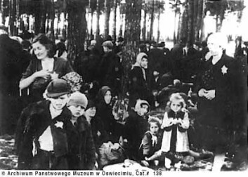 "Birkenau, venter på gassing. Dette bildet beviser ikke Holocaust, det er bare ett av millioner brikker som til sammen utgjør beviset." "Birkenau, venter på gassing. Dette bildet beviser ikke Holocaust, det er bare ett av millioner brikker som til sammen utgjør beviset."