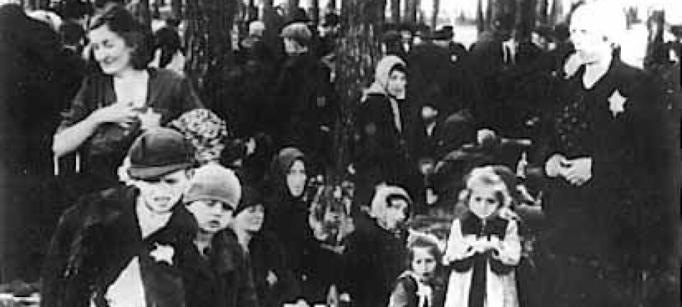 'Birkenau, venter på gassing. Dette bildet beviser ikke Holocaust, det er bare ett av millioner brikker som til sammen utgjør beviset.'