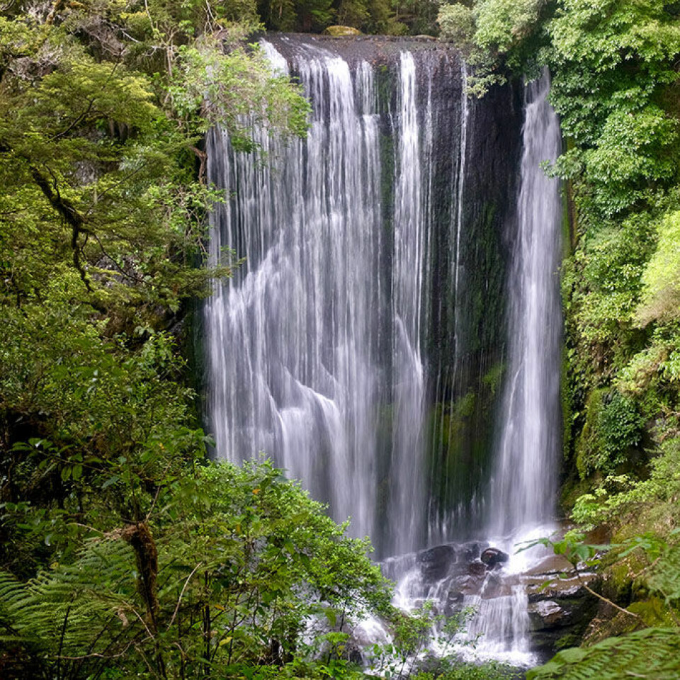 The national park 'Te Urewera' in New Zealand has legal rights and is an example to follow, believes Alejandra Mancilla.