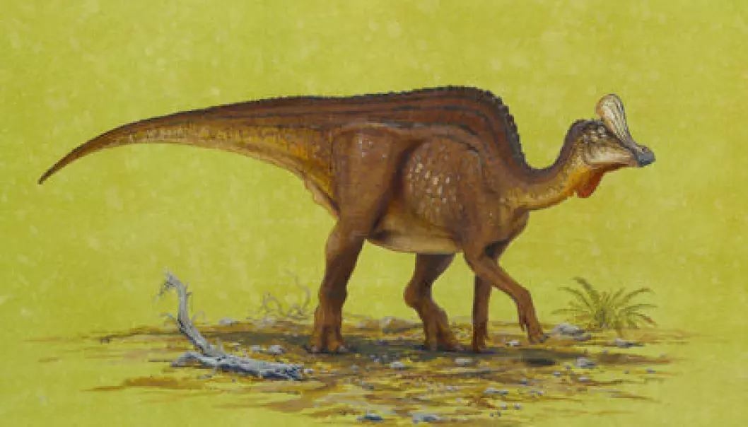 Ny nebbete meksikansk dinosaur