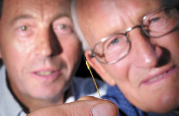 "Olaf Stavik (73) er opphavsmann blant annet til denne sensorkomponenten. Den lille silisiumbjelken ble til for snart 40 år siden og lages fortsatt. Den fikk mange anvendelser og la grunnlaget for Horten-bedriften SensoNors produksjon av airbag-sensorer. (Foto: Werner Juvik)"