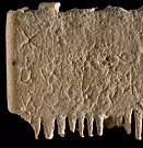 3.500 år gammel beskjed oppdaget på lusekam
