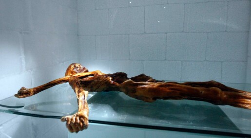 Ismannen fra Alpene: Ötzi-museet tror ikke det er så mange flere ismumier der ute Ismannen fra Alpene: Ötzi-museet tror ikke det er så mange flere ismumier der ute