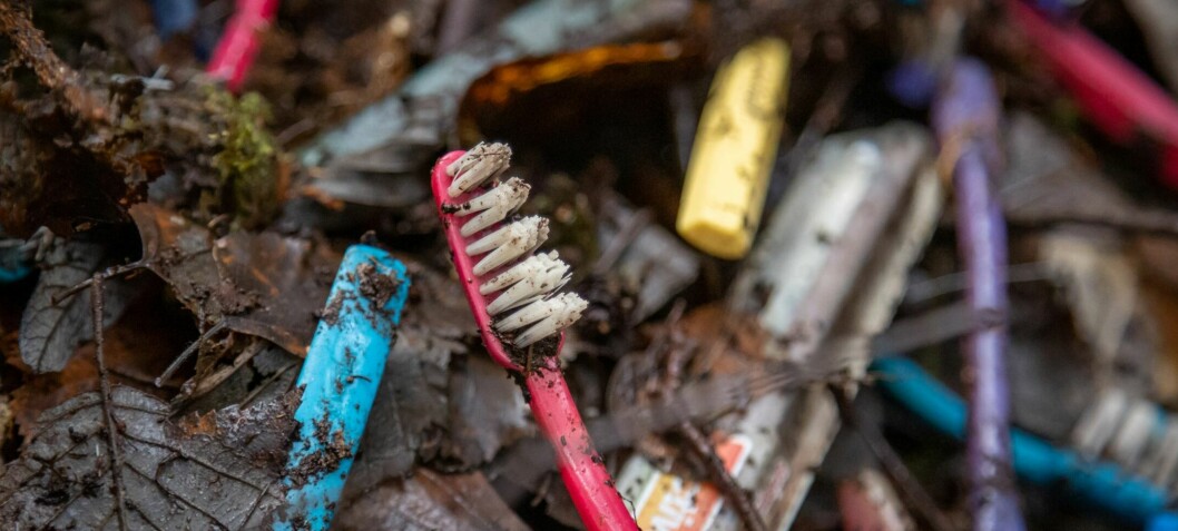 Bakterier som spiser gamle tannbørster, kan løse problem med plastforurensning