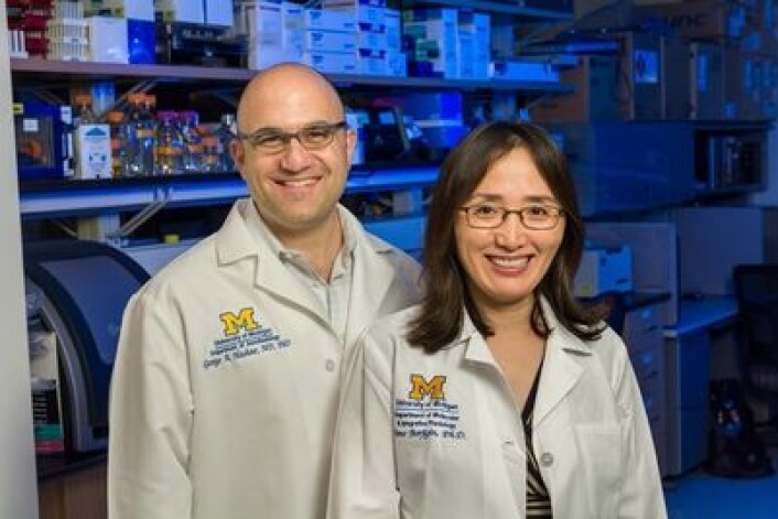 Forsker Jimo Borjigin (t.h) og kollega George Mashour fra University of Michigan har undersøkt aktiviteten i hjernen til døende rotter (Foto: University of Michigan Health System) Forsker Jimo Borjigin (t.h) og kollega George Mashour fra University of Michigan har undersøkt aktiviteten i hjernen til døende rotter (Foto: University of Michigan Health System)
