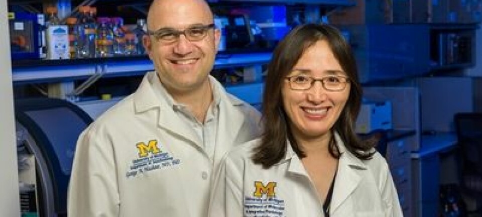 Forsker Jimo Borjigin (t.h) og kollega George Mashour fra University of Michigan har undersøkt aktiviteten i hjernen til døende rotter University of Michigan Health System