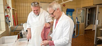 Making beef more tender: Elderly people need meat they can chew