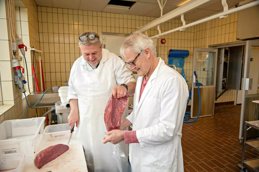 Nofima experts Tom Johannessen and Rune Rødbøtten sort the meat before it is sent to the kitchen for preparation and tasting.