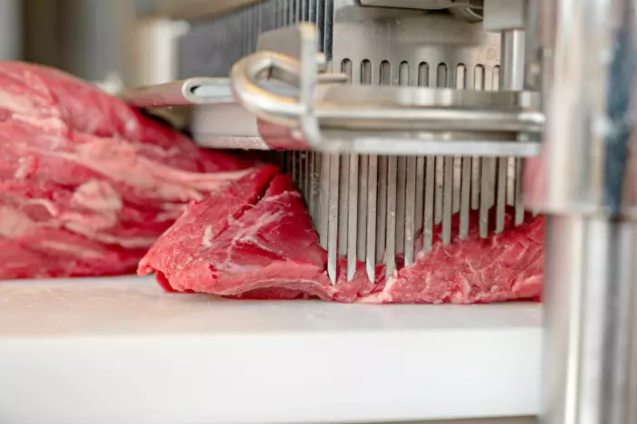 This is how mechanical tenderisation takes place in Nofima’s Meat Pilot Plant. Small knives placed closely together cut small incisions in the meat.